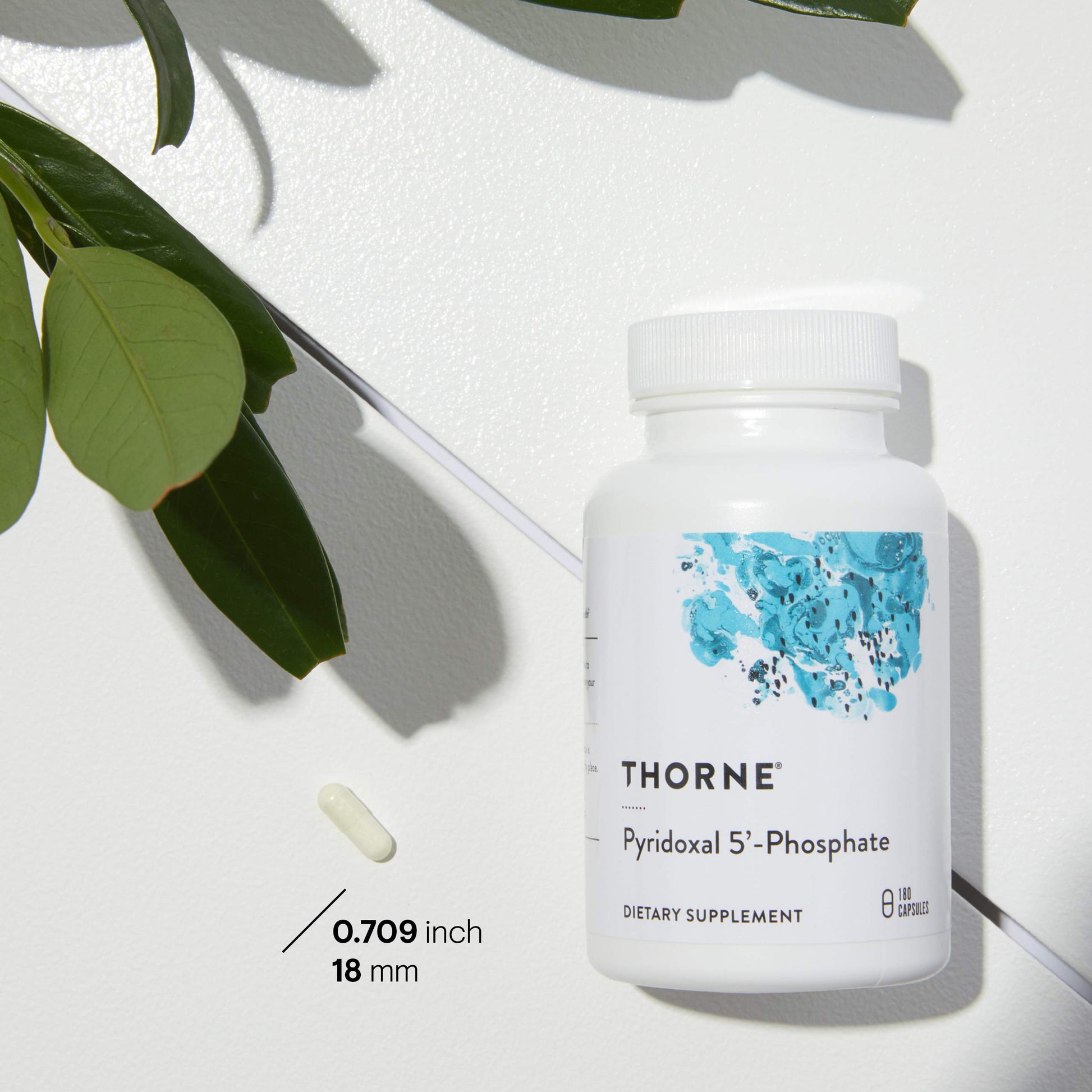 Cápsulas THORNE piridoxina vitamina b6