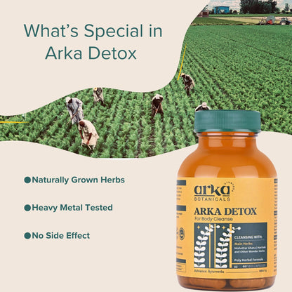 Características especiales en Arka Detox