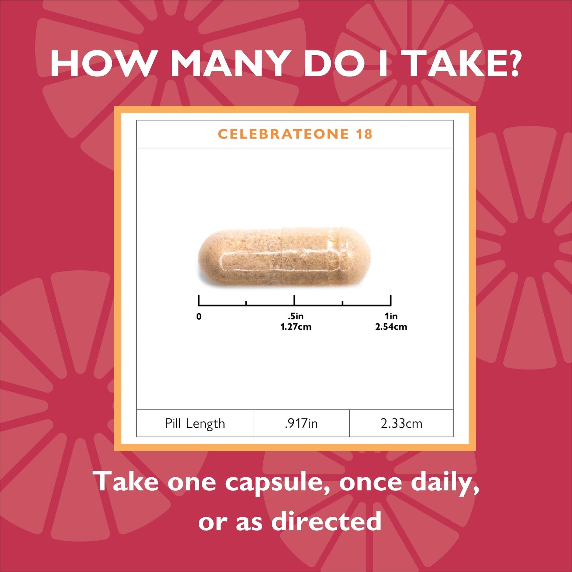 CelebrateONE cápsula tamaño descripción