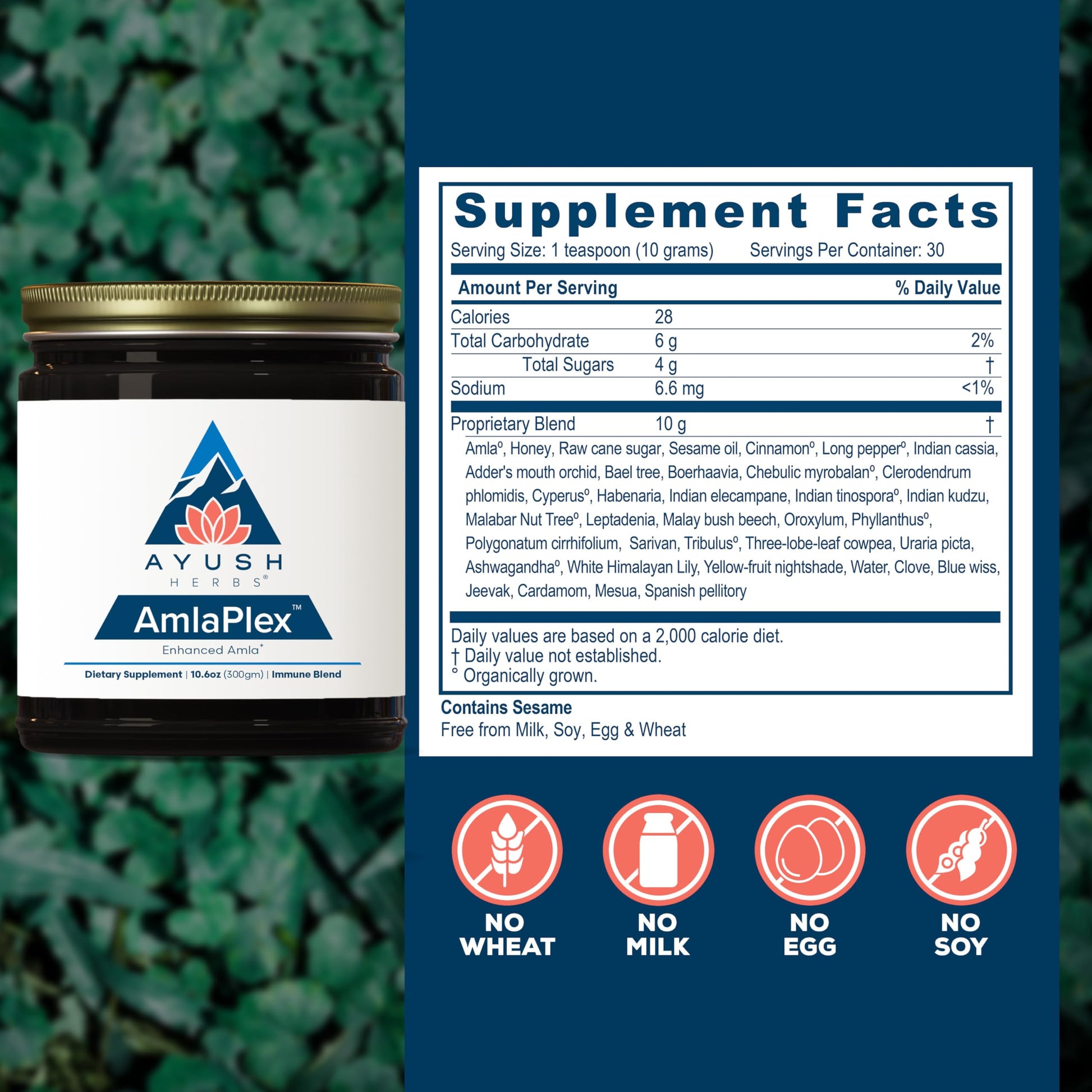 Chyawanprash natural con miel y hierbas para energía
