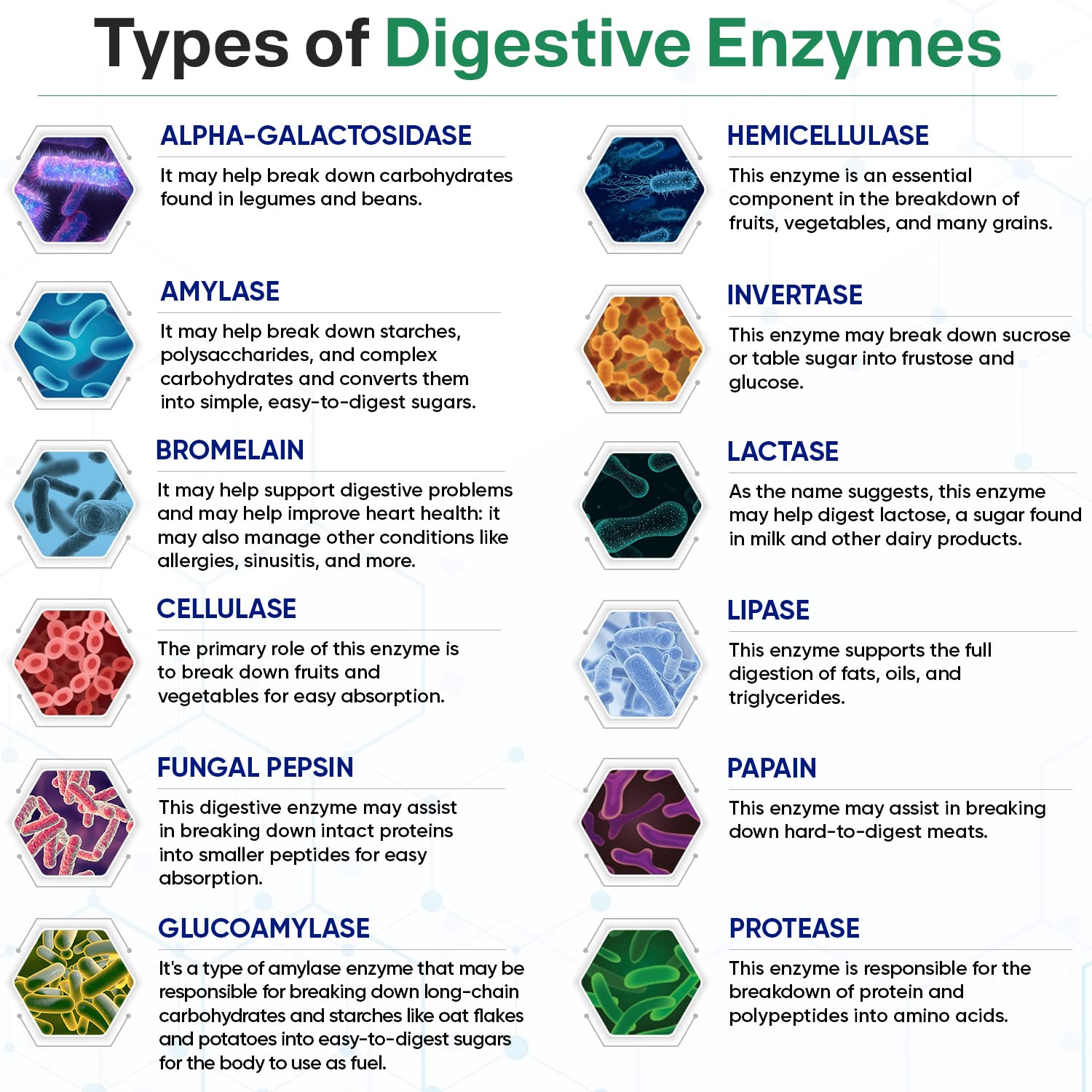 comparativa de fórmulas de enzimas digestivas 1000MG
