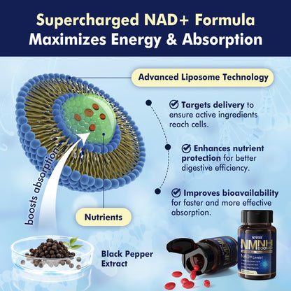 Componentes premium NEVISS NAD+ suplemento antiedad