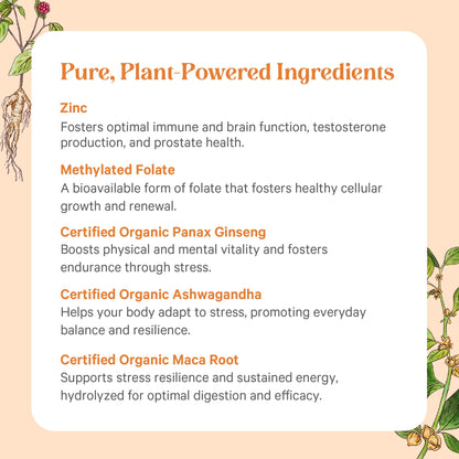 comprimidos de multivitamínico PURE SYNERGY
