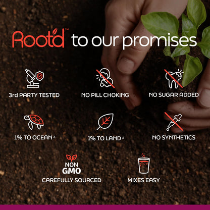 Compromisos ecológicos de Root'd.