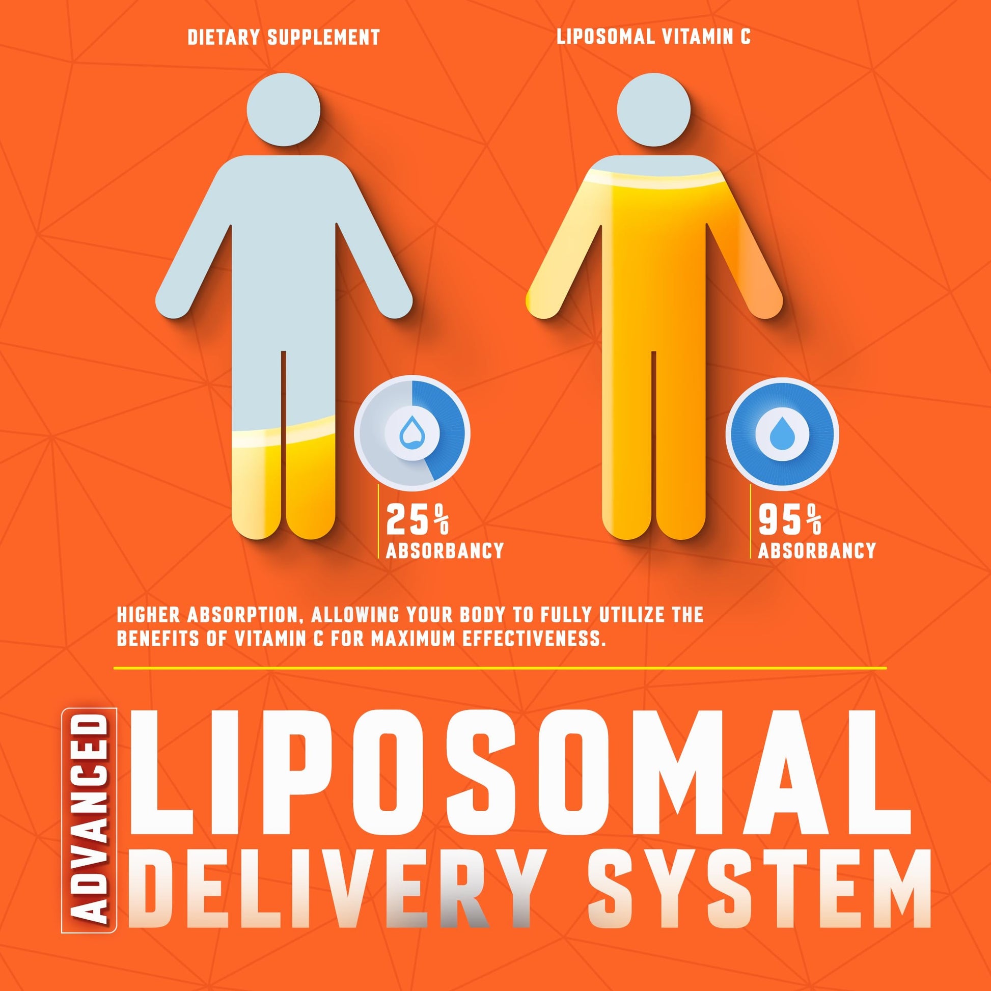 Detalle embalaje BASIC GREENS Vitamina C líquida liposomal