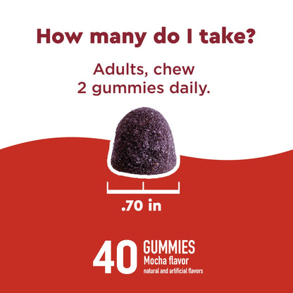 Detalle gomitas EnergyMAX Nature Made con ingredientes activos