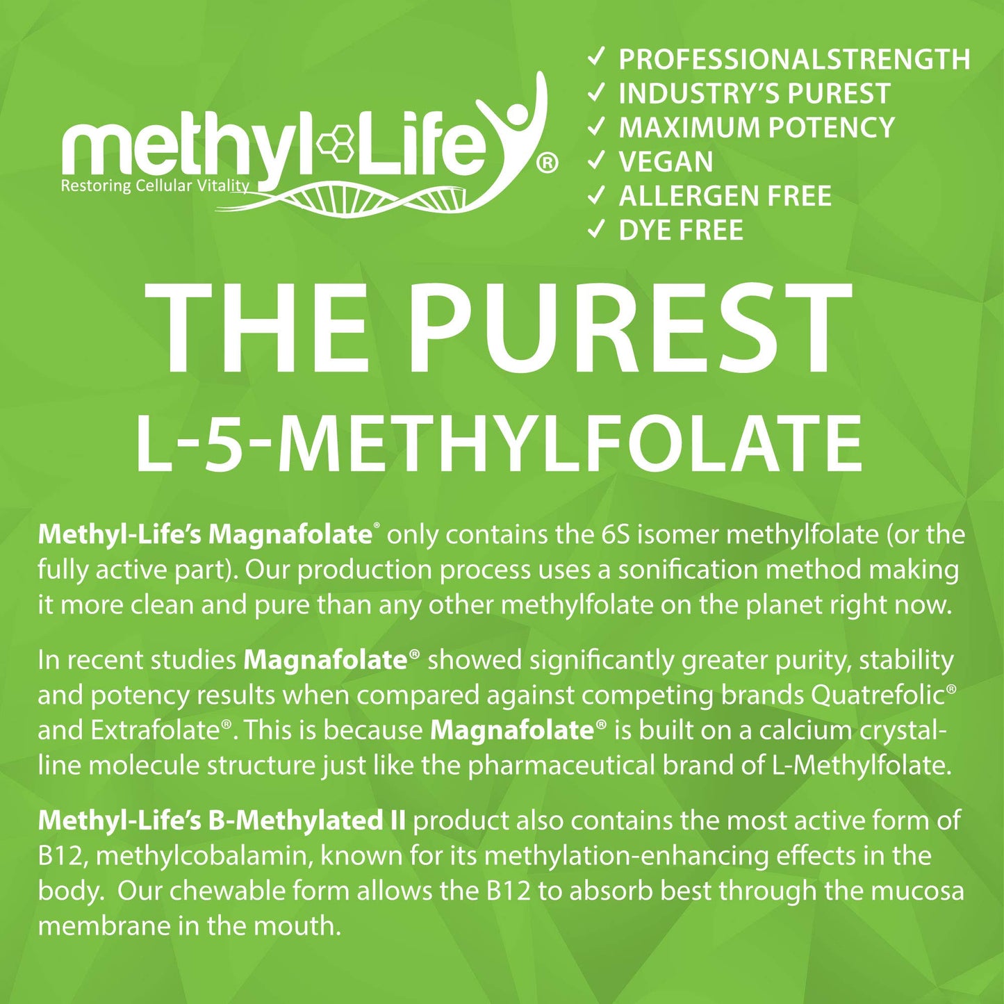 Detalle de ingredientes en Methyl-Life B-Methylated II