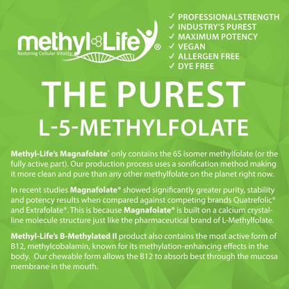 Detalle de ingredientes en Methyl-Life B-Methylated II