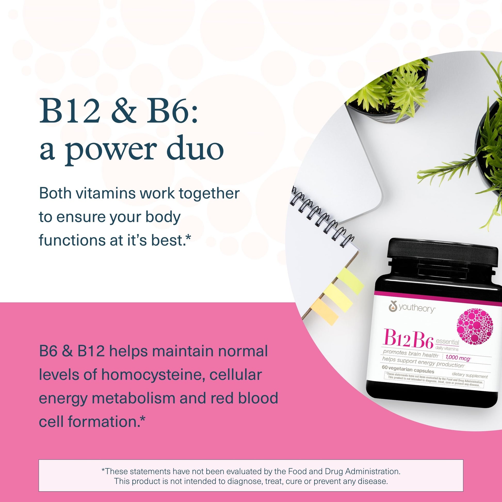Detalle ingredientes Youtheory B12B6 vitaminas veganas