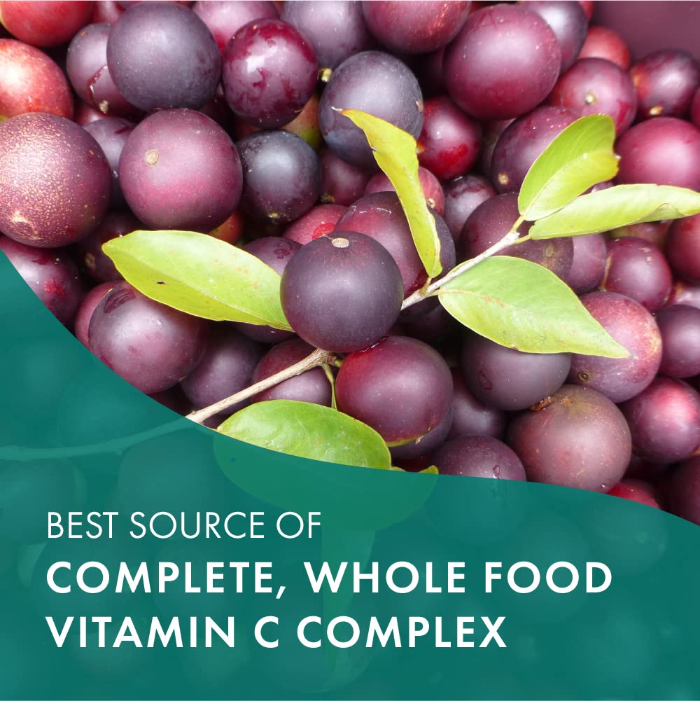 Detalles suplemento Whole-C de PURE ESSENCE LABS vitamina c