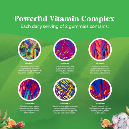 DHA omega 3 gomitas Natures Craft para niños visión y cerebro