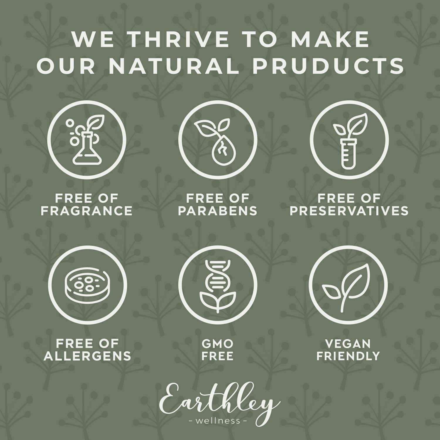 Earthley Wellness vitamina C polvo antioxidante para energía