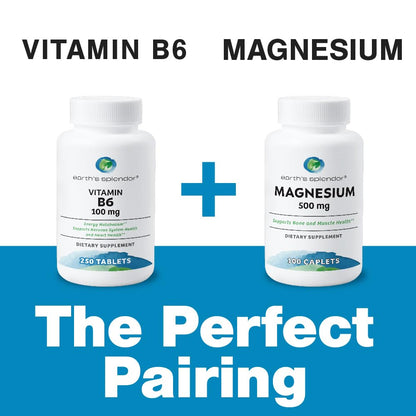 Earth's Splendor suplemento vitamina b6 calidad premium
