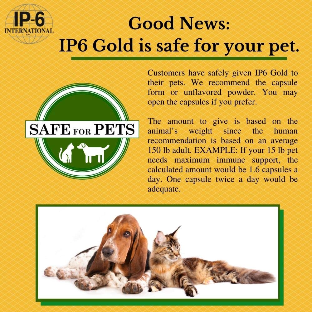 Empaque de 308 gramos polvo IP6 Gold para salud inmune