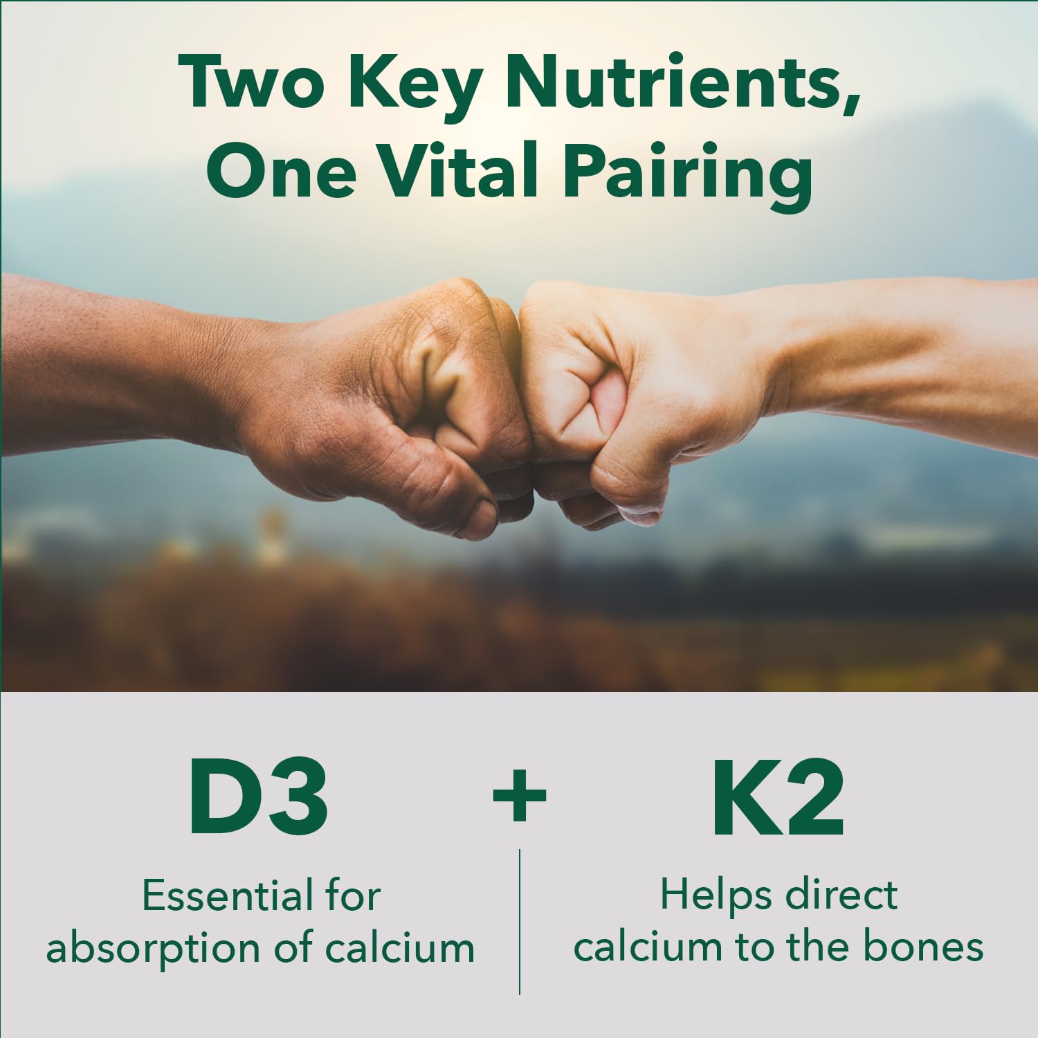 Etiqueta frontal PlantFusion cápsulas vitamina D3 y K2