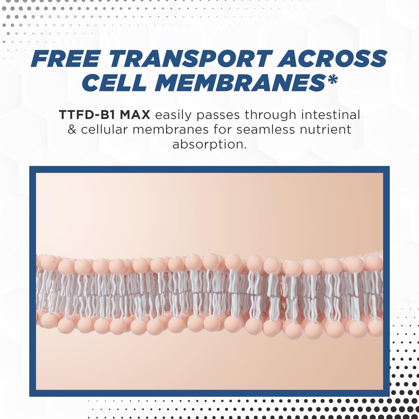 Etiqueta del suplemento TTFD Tiamina B1 MaxLife Naturals