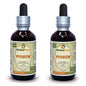 Extracto tintura Pygeum Cerezo Africano HerbalTerra 2x2 fl oz