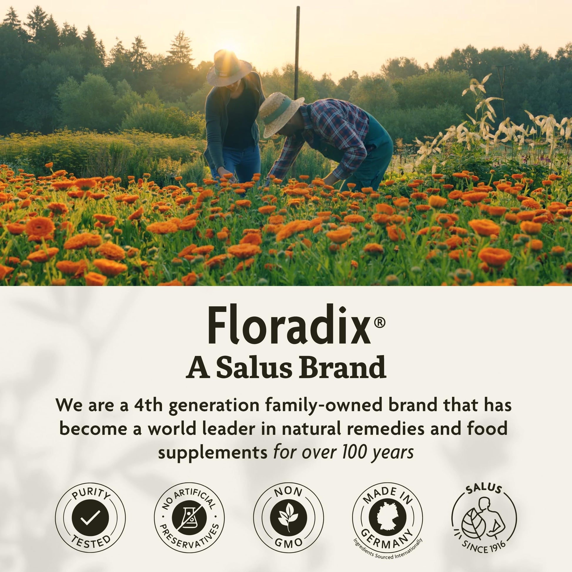 Extractos herbales en multivitaminas Floradix