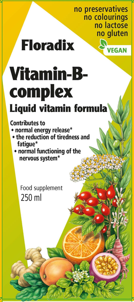Floradix líquido vitamina B complejo 250 ml botella frontal