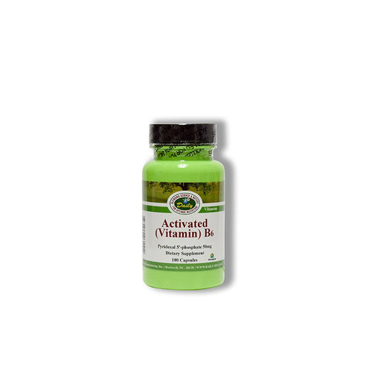 Frasco Daily Manufacturing vitamina b6 activada 100 cápsulas vegetales
