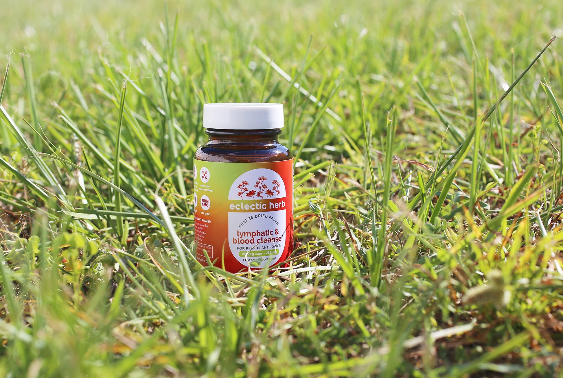 Frasco de Eclectic Lymph & Blood Cleanse en campo de césped