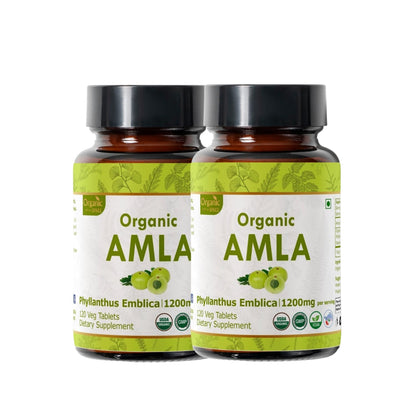 Frasco Organic Spree Amla 120 tabletas grosella india orgánico
