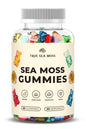 Gomitas de musgo marino irlandés de TrueSeaMoss en frasco