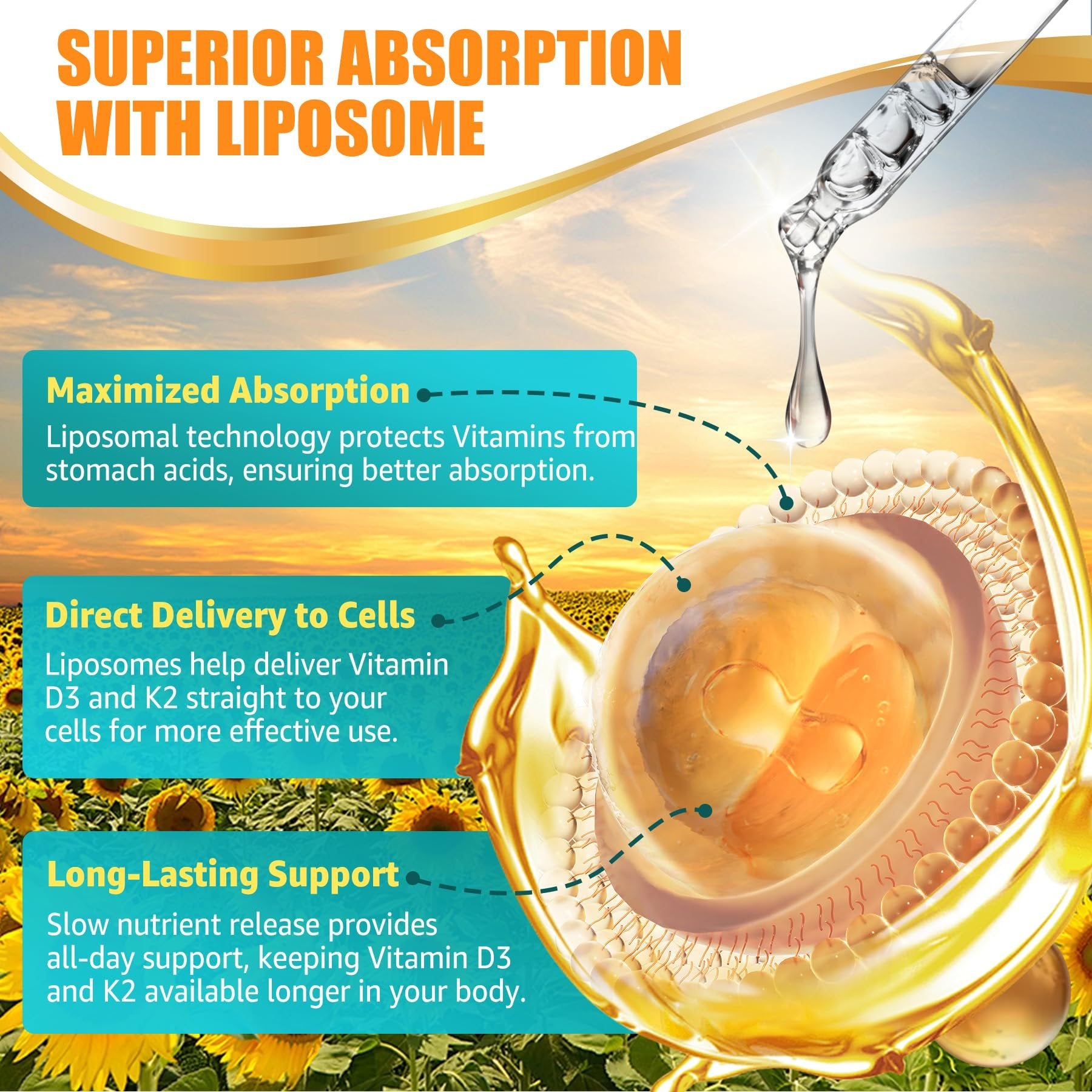 Gotas líquidas vitamina D3 K2 con vitamina A y E para huesos fuertes