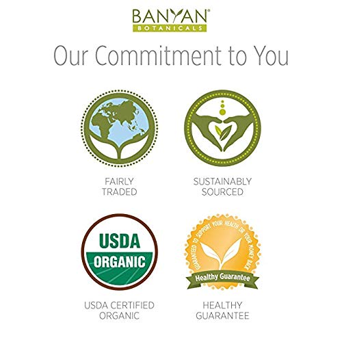 Hierba Bhumyamalaki para desintoxicación natural del hígado
