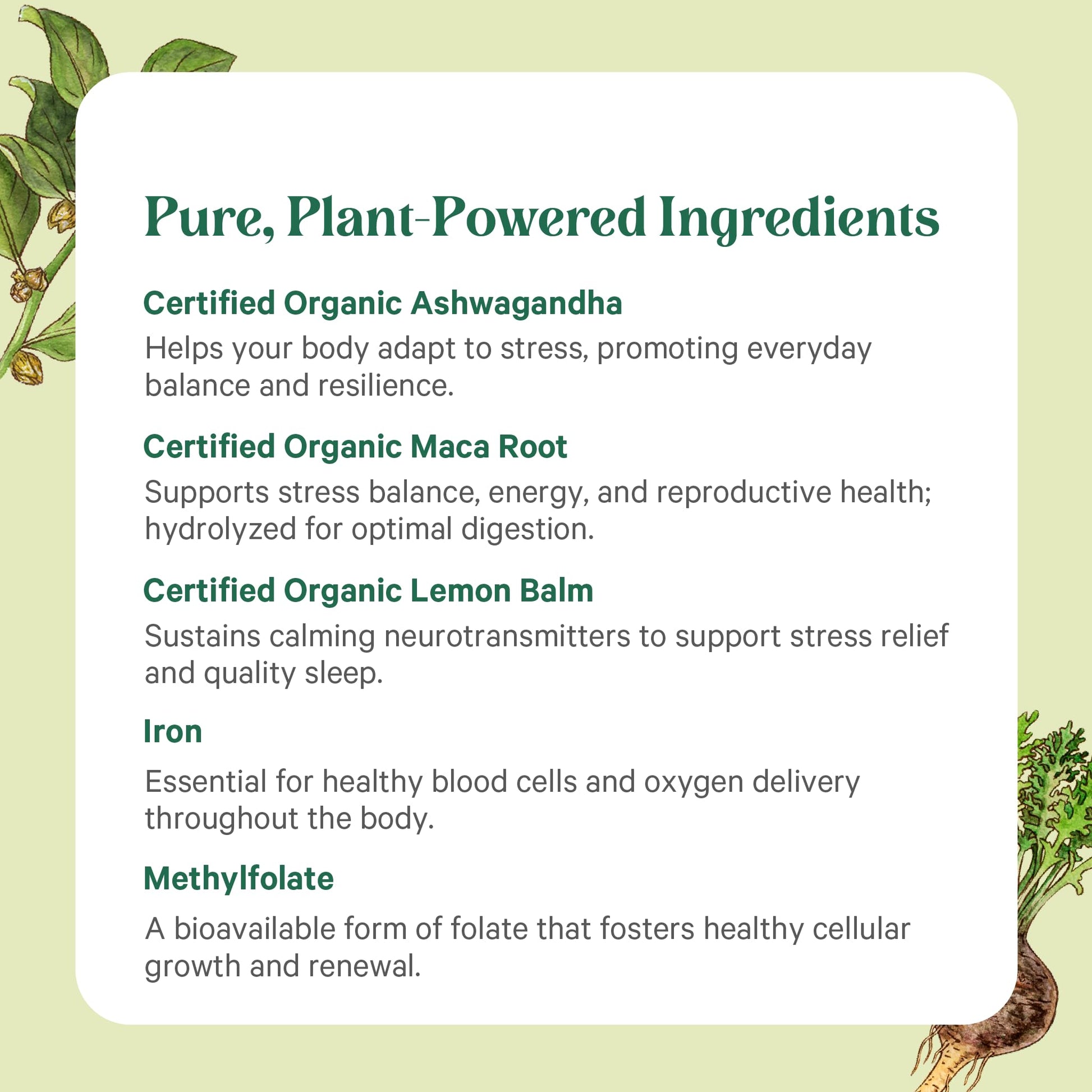 Hierbas calmantes y adaptógenas en multivitamina
