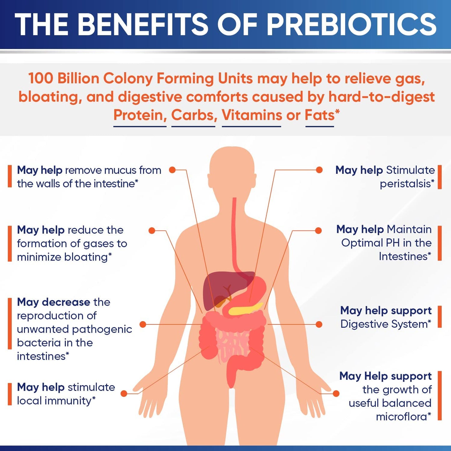 Información detallada de los probióticos Wholesome Wellness.