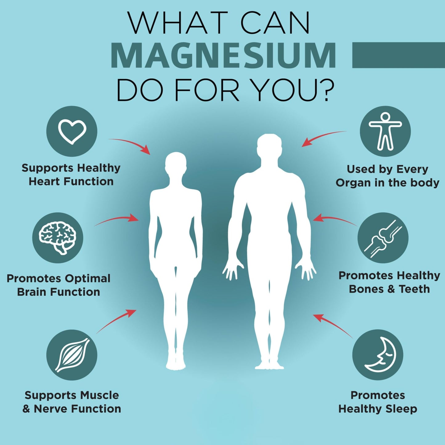 Infografía de magnesio omnibiotics para salud cardíaca