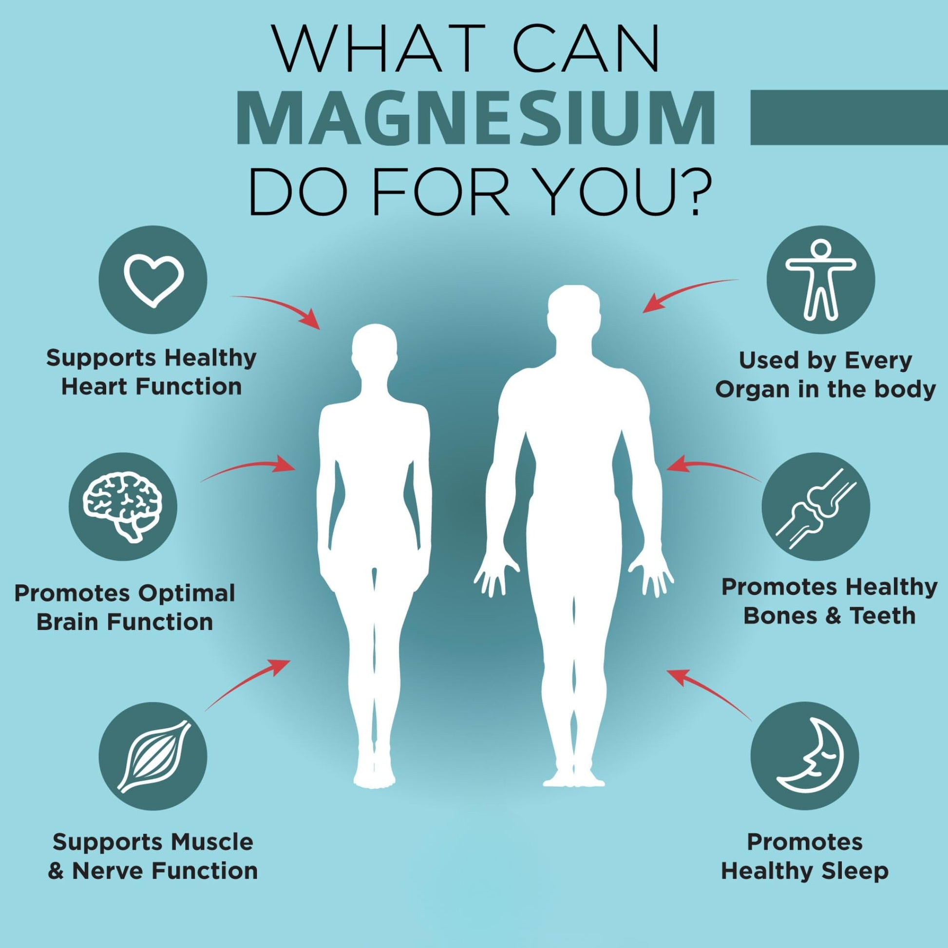 Infografía de magnesio omnibiotics para salud cardíaca