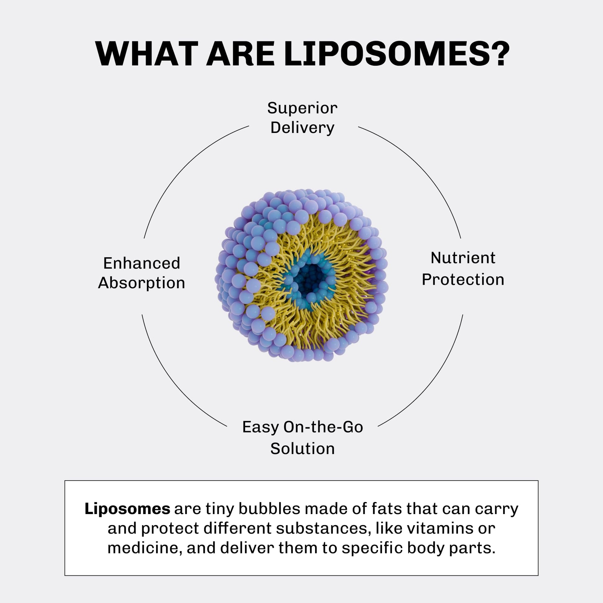 Información nutricional Aurora Nutrascience Mega Liposomal Vitaminas