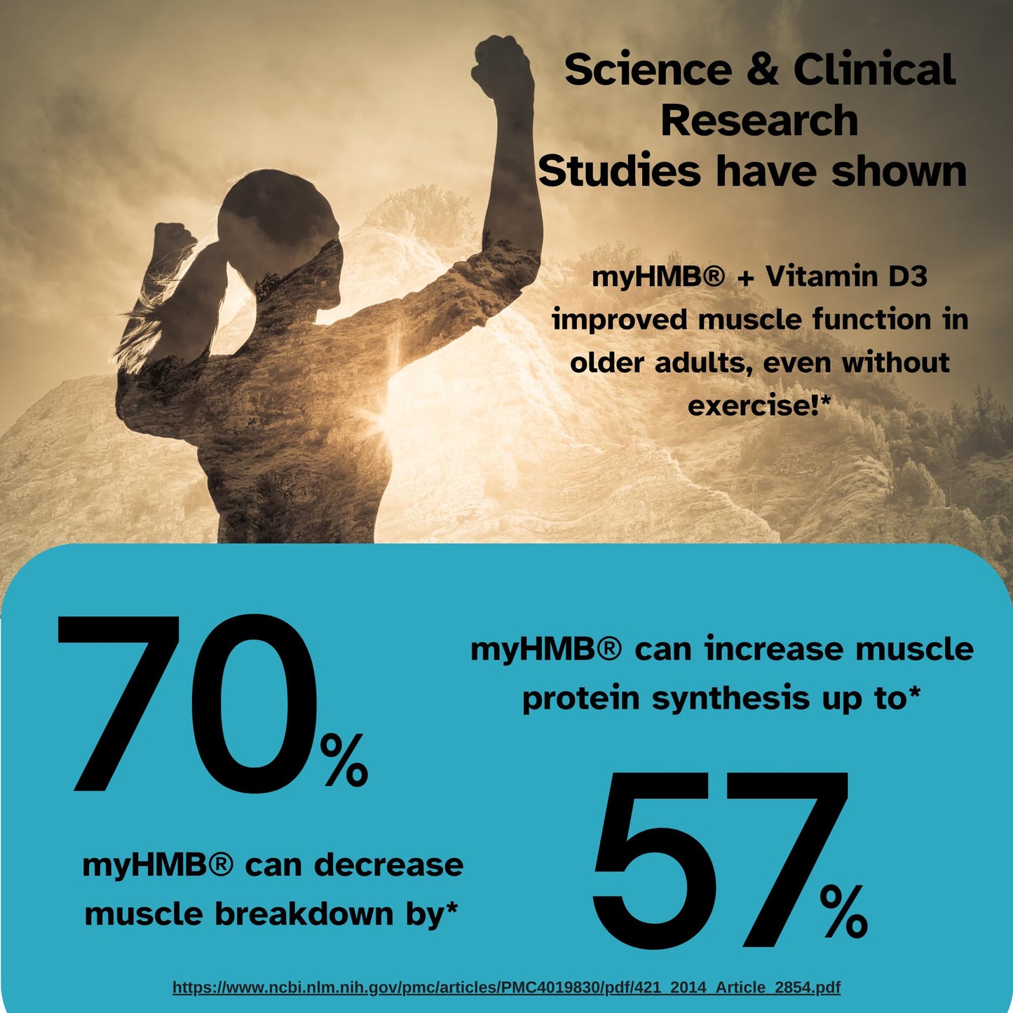 Información nutricional Vital Muscle Boost myHMB y vitamina D3