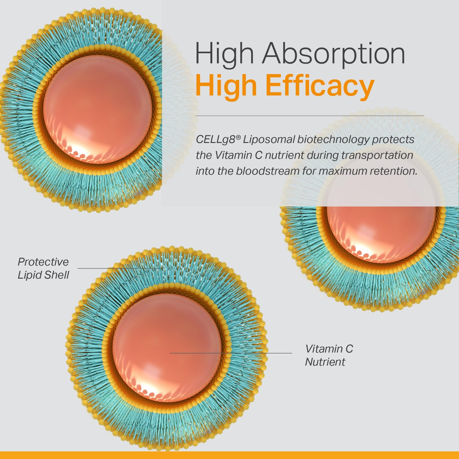 Información nutricional vitamina c liposomal 120 cápsulas