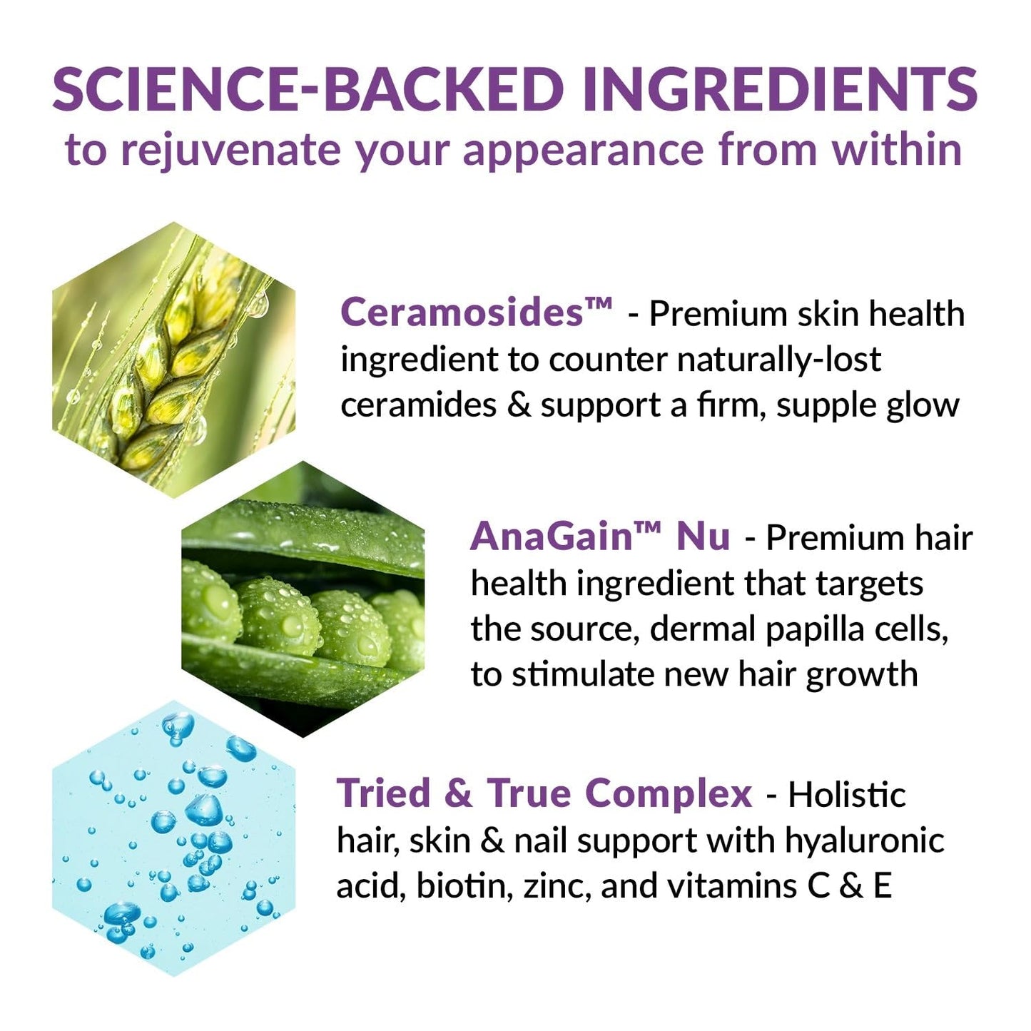 Ingredientes activos BioTrust Timeless Beauty Ceramide Booster