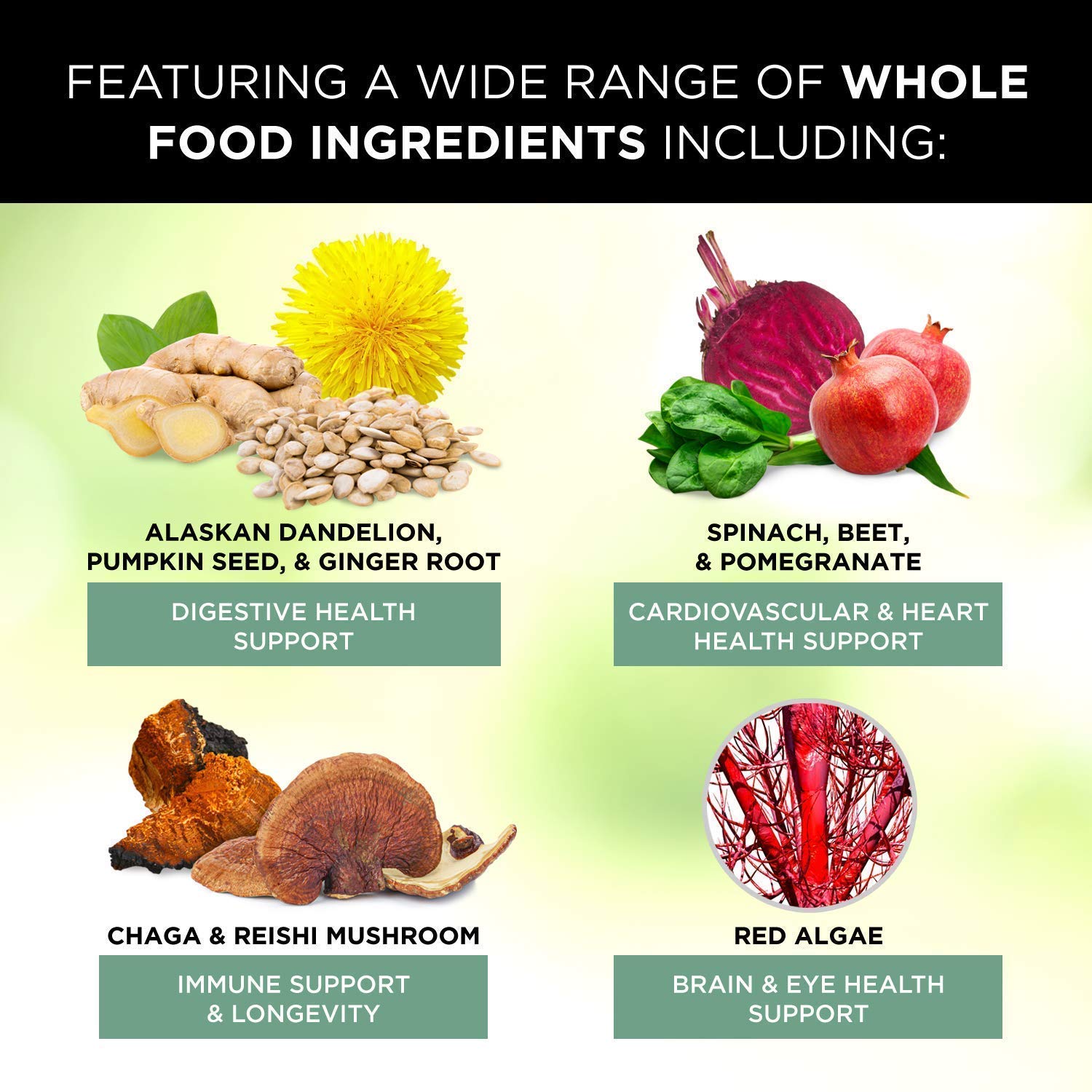 Ingredientes botánicos en suplementos multivitamínicos