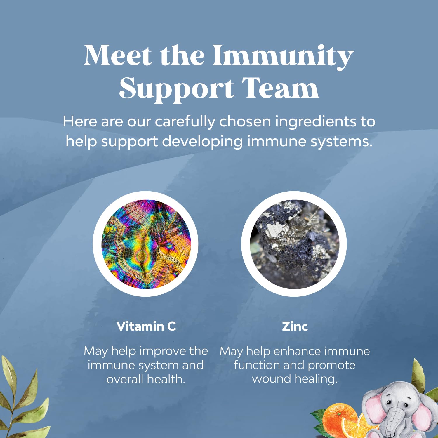 Ingredientes del equipo de apoyo inmunológico para niños.