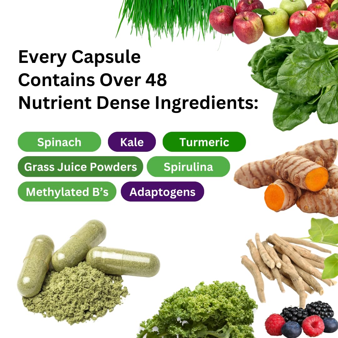 Ingredientes internos Paradise Herbs multivitamínico