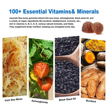 Ingredientes naturales gomitas musgo marino