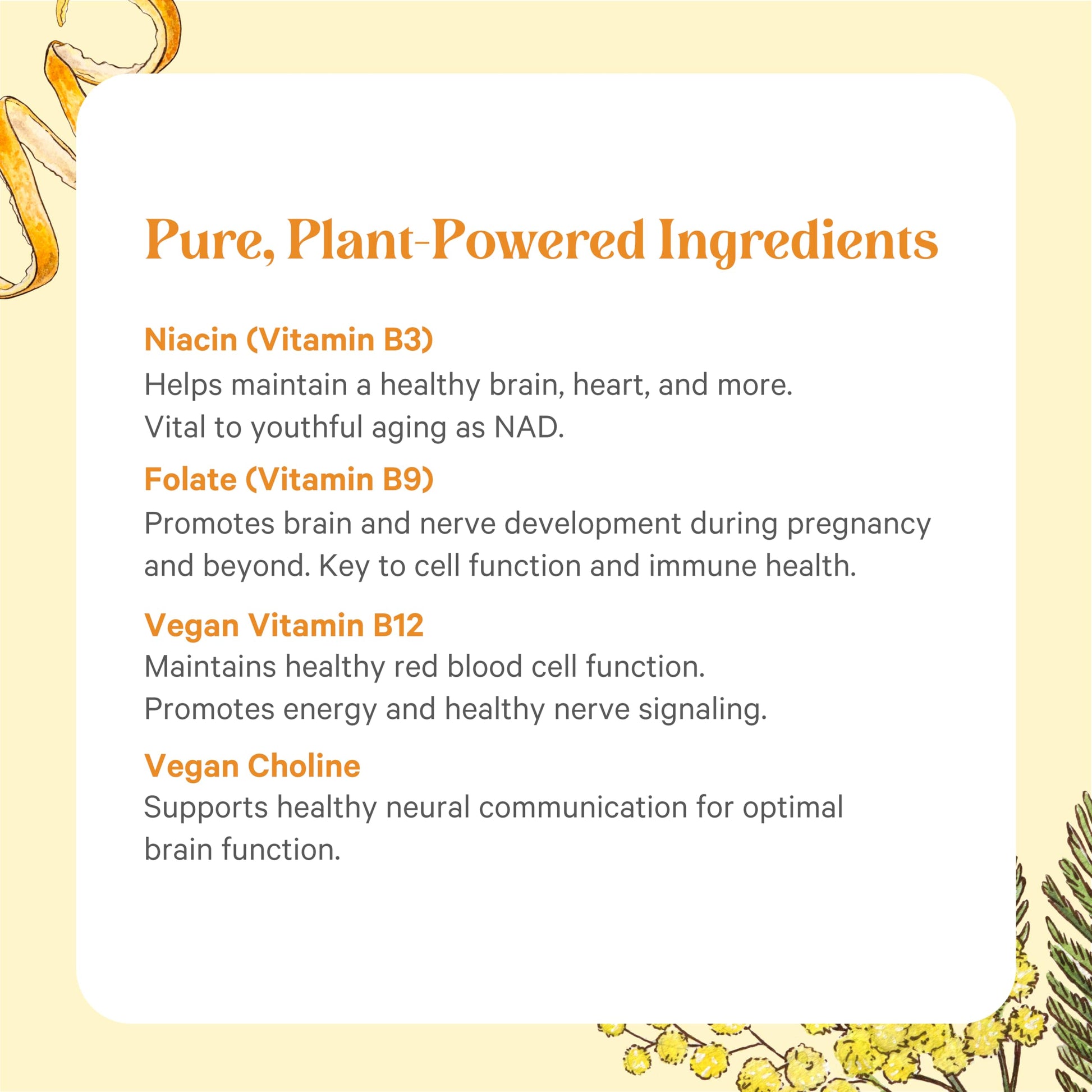 Ingredientes orgánicos PURE SYNERGY Super B-Complex para salud