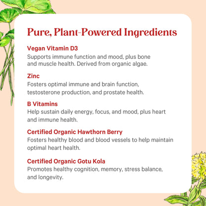 Ingredientes plantas tabletas multivitamínicas