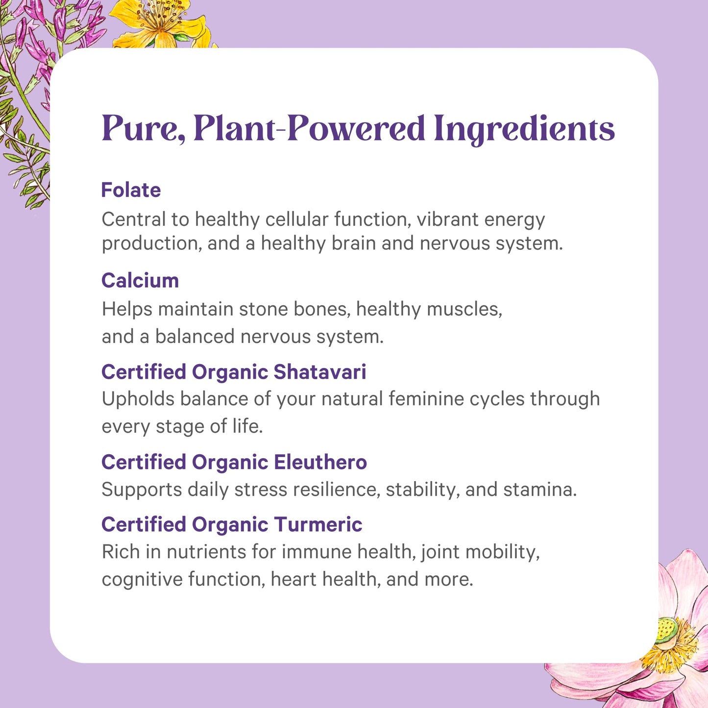 Ingredientes PURE SYNERGY multivitaminas