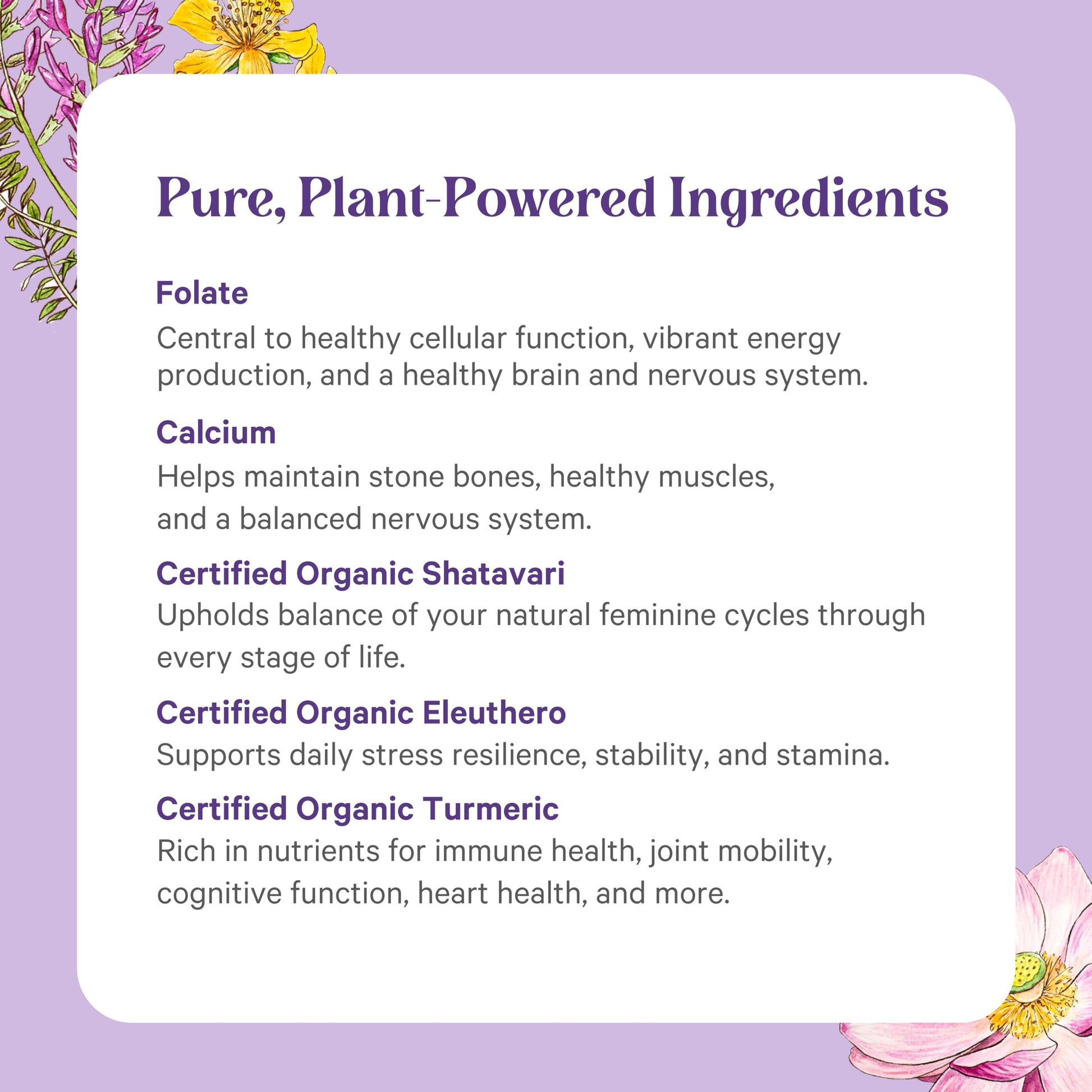 Ingredientes PURE SYNERGY multivitaminas