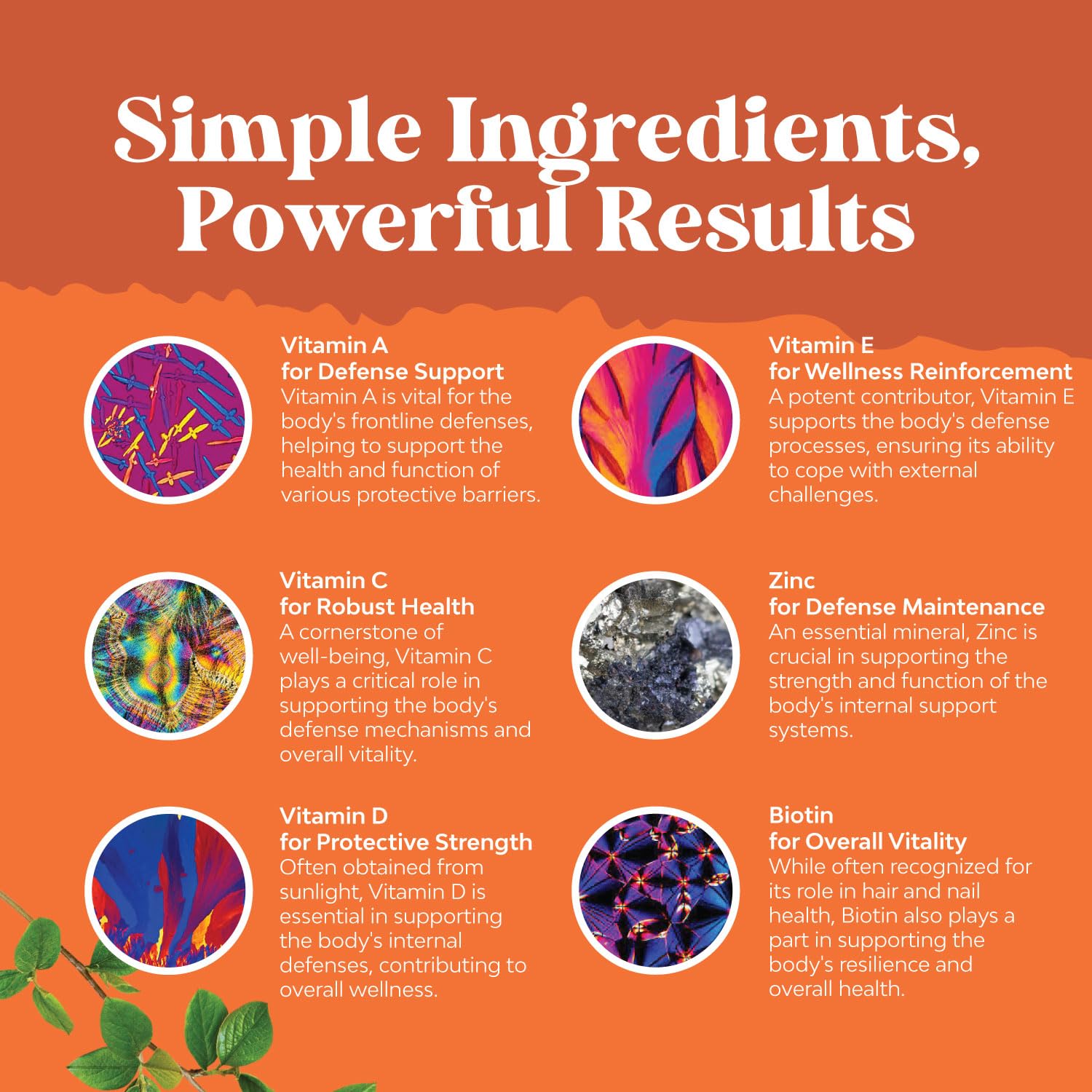 ingredientes sencillos de las gomitas multivitamínicas para adultos