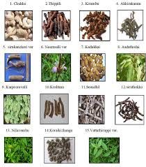 Ingredientes de Yuktha Naturals Kaba Sura Kudineer en Polvo