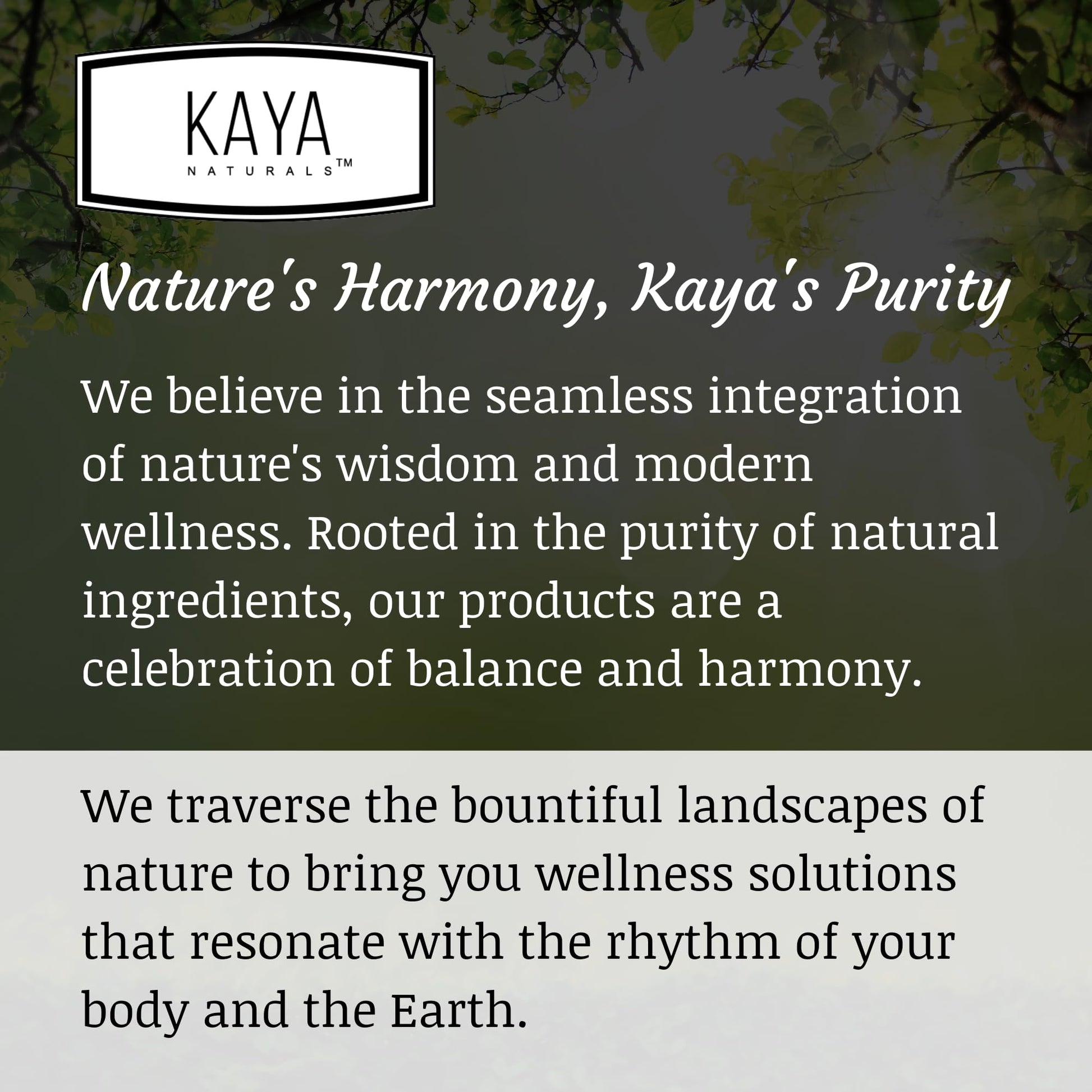 Kaya Naturals Multivitamínico Completo para Hombres Energeticos