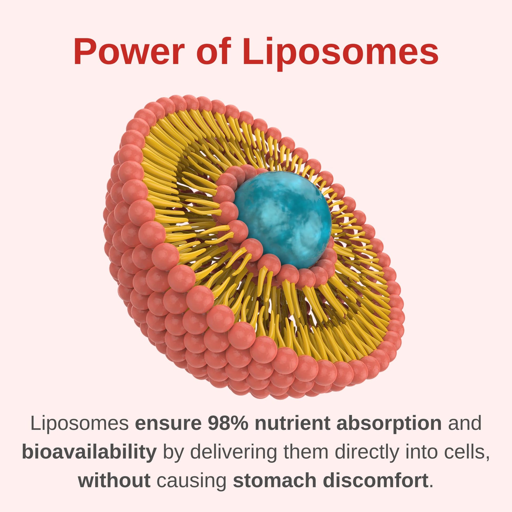 Liposomas y absorción mejorada en multivitamínico