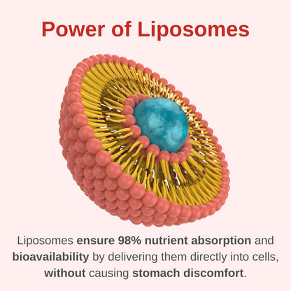 Liposomas y absorción mejorada en multivitamínico